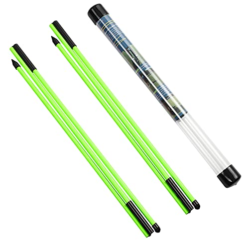 Rhino Valley Golf Alignment Sticks – 2 Pack Collapsible Golf Practice Rods for Aiming, Putting, Full Swing Trainer, Posture Corrector with Clear Tube Case, Portable Golf Training Equipment, Green