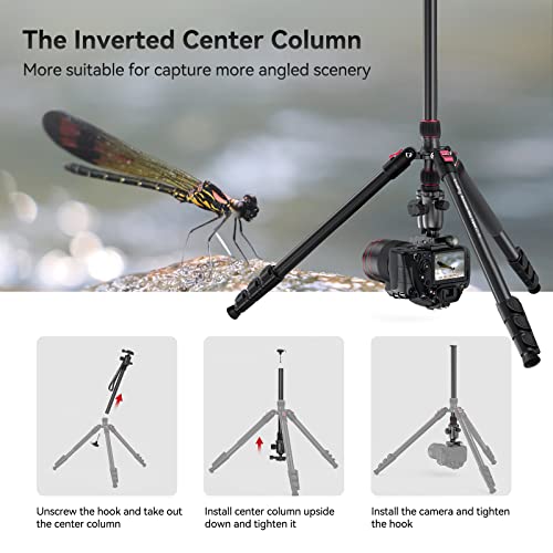 SmallRig 78″ Camera Tripod, Foldable Aluminum Tripod & Monopod, 360°Ball Head Detachable and Quick Release Plate, Payload 33lb, Adjustable Height from 18.5″ to 78″ for Camera, Phone – 3474 | The Storepaperoomates Retail Market - Fast Affordable Shopping