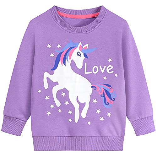 DDSOL Girls Sweatshirt Unicorn Cotton Crewneck Long Sleeve Tops T-Shirts Toddler Kids Casual Pullover Clothes Size 3-4T