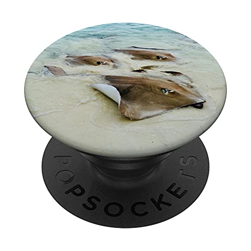Stingray Fish PopSockets Swappable PopGrip