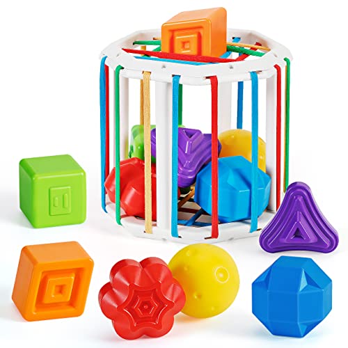 LOTOY Montessori Toys for 1 Year Old Boy Girl Birthday Gifts,Baby Toys 6-12-18 Months Girl Boy Stuff,Baby Shape Sorter Sensory Bin Toddler Toys Age 1-2,Infant Toys 6-12 Months Baby Rattle Blocks