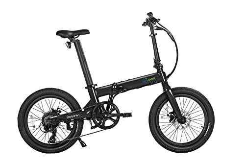 QUALISPORTS Dolphin Folding Electric Bike for Adults 20inch Foldable Ebike 500W 48V Removable Battery 7 Speed Cruiser Commuter Mountain Bicycle Dual Battery Long Range