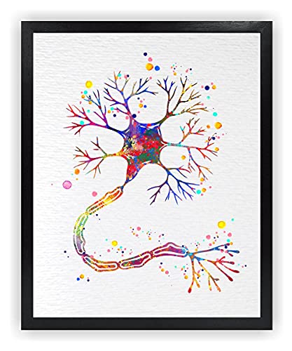 Dignovel Studios 8X10 Unframed Motor Neuron Watercolor Print Science Art Neurology Medical Art Brain Neuroscience Art Neurologist Clinic Wall Decor DN634