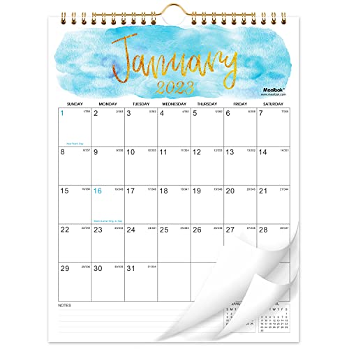 Calendar 2023-2024 – Wall Calendar 2023-2024 from January 2023 – June 2024, 8.5″ x 11″, Twin-Wire Binding, Large Blocks with Julian Dates Perfect for Planning and Organizing for Home or Office