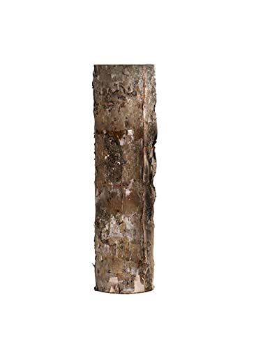 Serene Spaces Living Large Glass Interior Cylindrical Birch Bark Vase, Floor Vase Decor, Rustic Accent Piece Ideal for Natural Wedding Tablescape, Engagement Party, Measures 4″ Diameter & 16″ Tall