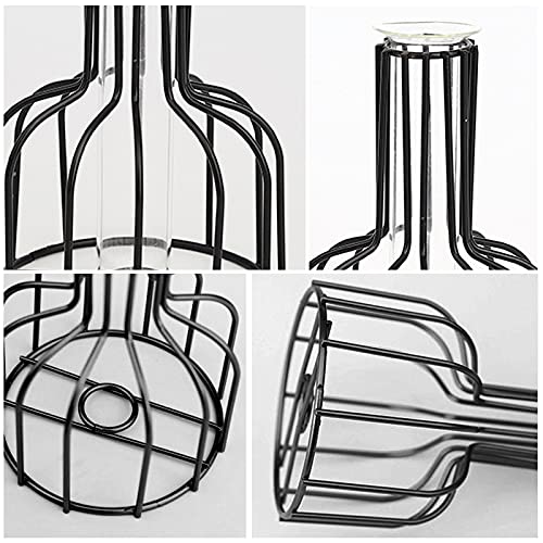 Flower Vases with Iron Art Frame, Metal Geometric Flower Vase, Clear Vase Decorative for Home Office Wedding Holiday Party Celebrate (Black(2PCS)) | The Storepaperoomates Retail Market - Fast Affordable Shopping