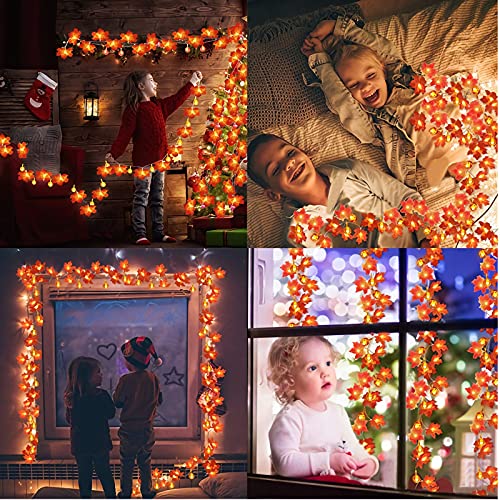 frestar 20Ft/ 40 LED Maple Leaves Light and Pumpkin Light for Thanksgiving Decoration 3AA Battery Operated Home Indoor Party Holiday Decoration | The Storepaperoomates Retail Market - Fast Affordable Shopping
