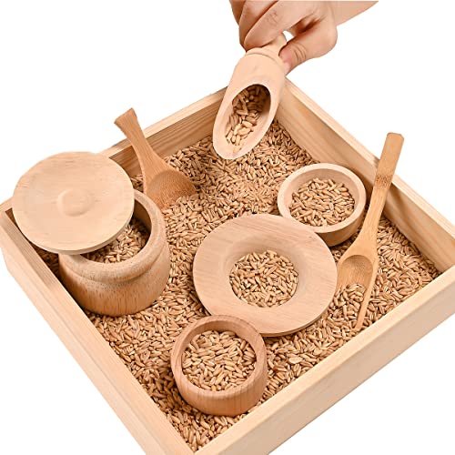 Sparkle Race Sensory Bin Tools with Wooden Box Tray Montessori Toys for Toddlers, Waldorf Toys, Wooden Scoop Dish and Tongs for Kids, Montessori Kitchen for Sensory Table Fine Motor Learning Skills