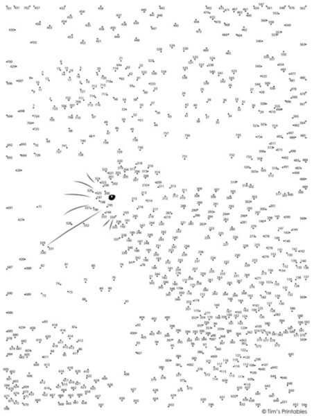 Kiwi Bird Dot-to-Dot / Connect the Dots PDF