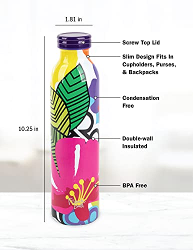 French Bull Double-Wall Insulated Stainless Steel Water Bottle – 20oz Retro Aesthetic Water Bottles, Condensation Free, Keep Drinks Hot & Cold, BPA Free Slim Metal Water Bottle – Screw Top Lid – Oasis | The Storepaperoomates Retail Market - Fast Affordable Shopping