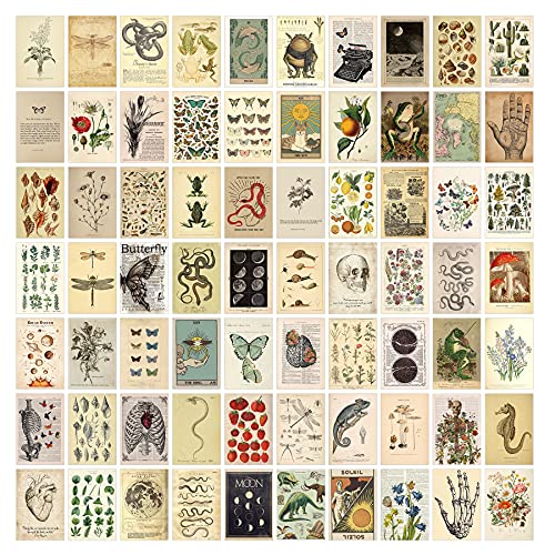 KOSKIMER 70PCS Vintage Wall Collage Kit Aesthetic Pictures, Posters for Room Aesthetic Vintage, Cottagecore Room Decor for Bedroom Aesthetic, Cute Dorm Photo Collage for Teen Girls, Botanical Wall Art