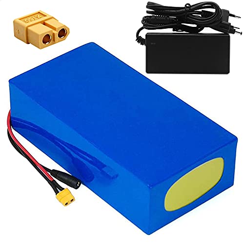 TGHY 48V 20Ah Lithium Battery Pack with BMS and Charger 20000mAh Replacement Li-ion Battery for E-Bike Electric Scooter Electric Tricycle Golf Cart Electric Go-Kart,Xt60