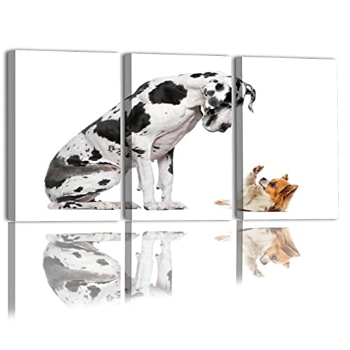 3 Piece Wall Art Painting On Canvas Great Dane sitting and looking at a Chihuahua in front of a white Gallery Wrapped Modern Artwork for Living Room Bedroom Décor Ready to Hang 20″x32″x3 Panel