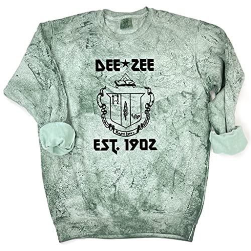 Go Greek Chic Delta Zeta Vintage Band Sweatshirt (Medium)