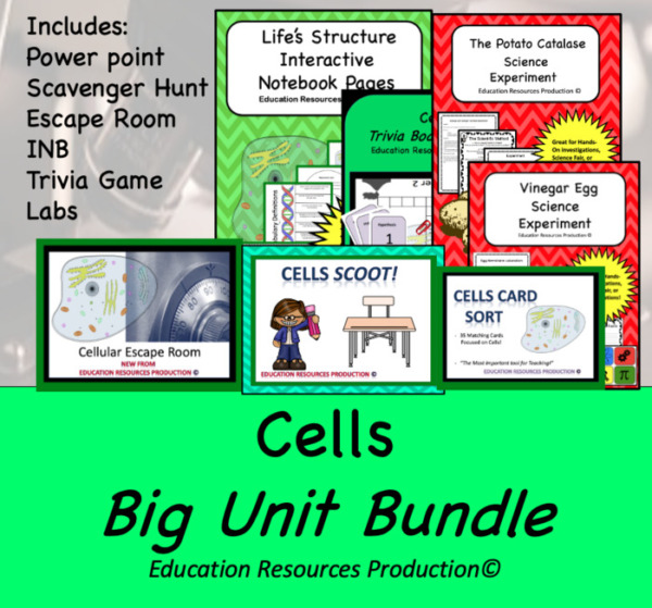 Cell Big Unit Bundle