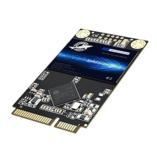 Dogfish mSATA SSD 64GB 3D NAND MLC SATA III 6 Gb/s, mSATA (30×50.9mm) Internal Solid State Drive – Compatible with Desktop PC Laptop – (MSATA 64GB)
