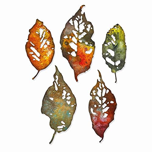 Sizzix Thinlits Die Set 5PK Leaf Fragments by Tim Holtz, 665559, Multicolor