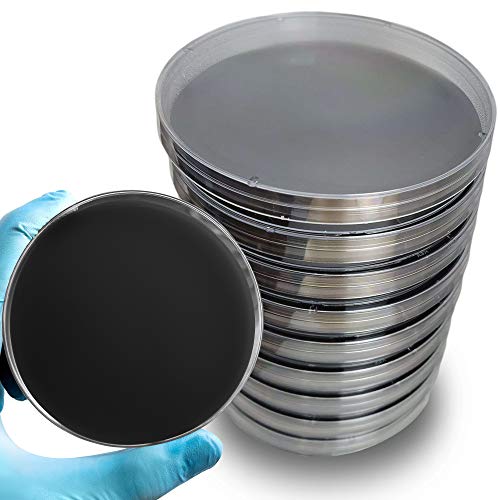 Malt Extract Agar Plates with Activated Charcoal – Evviva Sciences – Improved – Prepoured Charcoal MEA Petri Dishes – Excellent Growth Medium – Great for Mushrooms & Science Projects