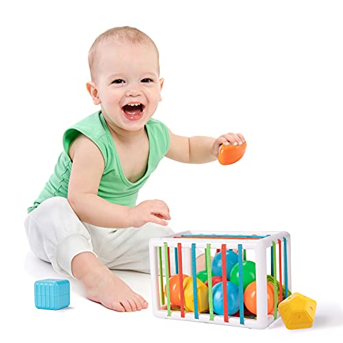 Montessori Sensory Toys for 1 Year Old Boy and Girl, Baby Shape Sorting Bin Gifts for 12 Months, Early Learning Educational Toddler Bath Toys for Toddlers