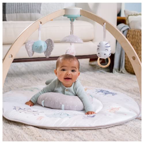aden + anais Play and Discover Baby Activity Gym – 30+ Developmental Benefits – 3 Attachable Toys + Plush Tummy Time Pillow – 100% Cotton Muslin – Machine Washable