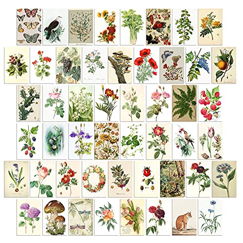 WOONKIT Cottagecore Aesthetic Decor, Cottagecore Room Bedroom Wall Dorm Posters, Room Decor for Teen Girls, Vintage Botanical Collage Kit Aesthetic Pictures, 50pcs 4×6 Inch