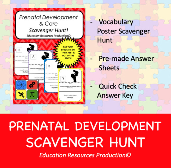 Prenatal Care & Development Scavenger Hunt Activity