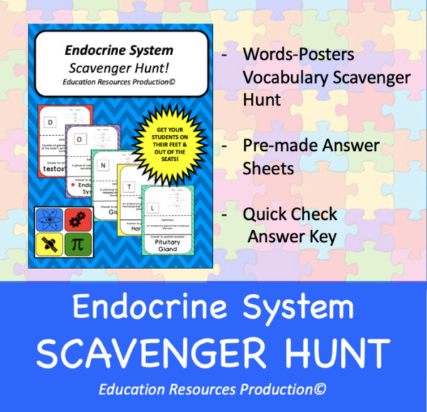 Endocrine System Scavenger Hunt Activity