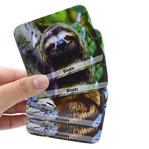 Menique, Wild Animals, Memory Matching Game | The Storepaperoomates Retail Market - Fast Affordable Shopping
