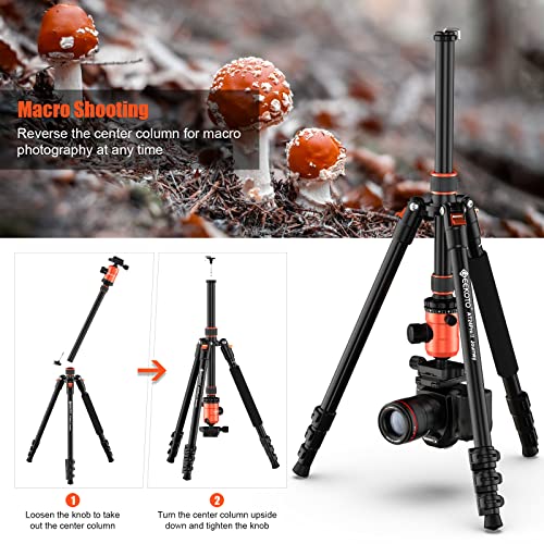 [Upgrade Version] GEEKOTO 77” Tripod, Aluminum Camera Tripod Monopod, Foldable DSLR Tripod for Travel, Compact Tripod with 360 Panorama Ball Head Quick Release Plate for Travel and Work | The Storepaperoomates Retail Market - Fast Affordable Shopping