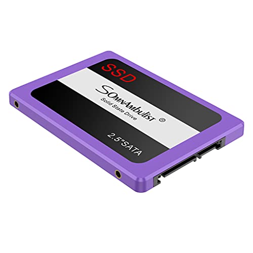 Somnambulist SATA3 SSD Fast Speed High Writing & Reading Speed SSD Disk Notebook PC ssd 960gb 2tb (Purple-2TB)