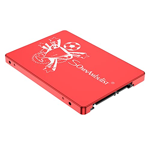 Somnambulist 2TB 60GB high-Speed Data Transmission SSD Storage Solid State Drive (Red-2TB)