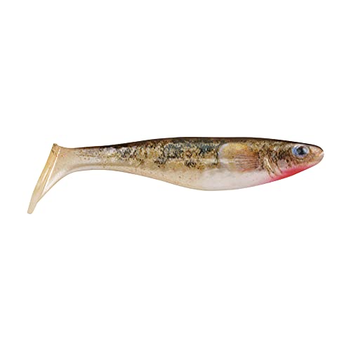 Berkley Powerbait The Champ Swimmer Fishing Soft Bait, HD Red Belly Goby, 4.6″