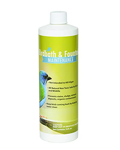 Sanco Bird Bath & Fountain Maintenance, Fast-Acting Enzyme-Based Formula Will Extend The Life of Your Water Feature, Aid in Maintaining a Balanced Ecosystem, 16 oz
