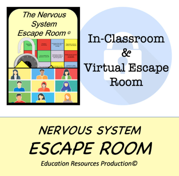 Nervous System Escape Room