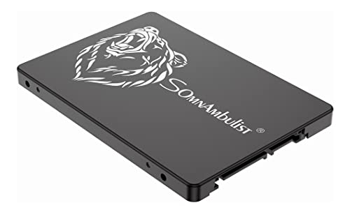 Somnambulist SSD 60GB 240 GB 120GB SATA SSD Hard Disk 2.5 Internal Solid State Disk Hard Drive SATA 3 (Black Bear-240GB)
