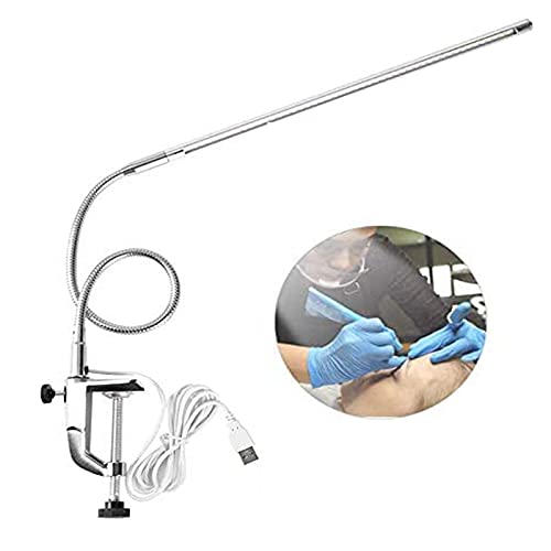 Brokimis Desk Light with Clamp, USB LED 8 W Clip Nail Desk Lamp Eye Care Flexible GooseNeck 360° Swivel Clamp Light for Manicure Reading Eyebrow Trimming Office Tattoo with Adapter