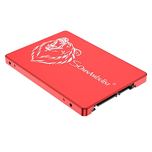 Somnambulist 2.5 Inch SATA 3 120GB 240GB 60GB SATA3 SSD Internal Hard Drive for Laptop (Red Bear-120GB)