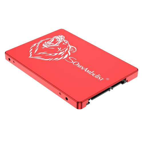 Somnambulist Portable Hard Drive ssd 480gb Hard Disk Drive Internal ssd 960 gb for Desktop Laptop 2tb 480gb ssd Available (Red Bear-2TB)