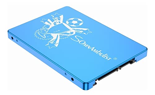 Somnambulist Hard Drive 480G 960G Hard Disk 2T Solid State Drive Blue SATA3 SSD for Desktop Notebook (Blue Trophy-480GB)