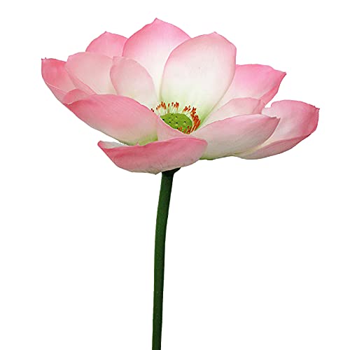 SMLJFO 35.4in Artificial Lotus Branch Simulation Plant Ornaments PU Fake Flower Decoration with Rod for Table Garden Wedding Party Office Home Decor