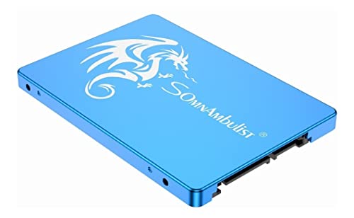 Somnambulist 480GB 960GB 2TB Internal Solid State Disk SSD Hard Drive SATA3 2.5 for Laptop Desktop PC (Blue Dragon-2TB)