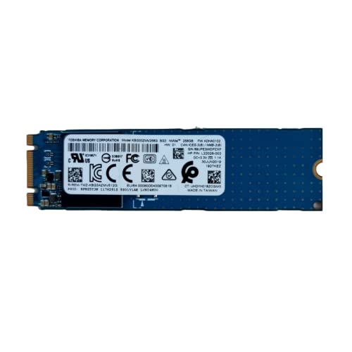 MESH Computers 256GB NVMe PCIe M.2 2280 Solid State SSD – KBG30ZMV256G