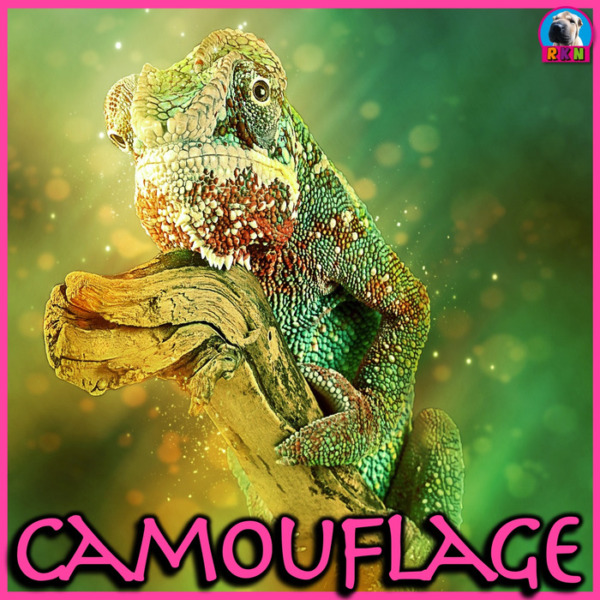 Camouflage: Animal Adaptations – PowerPoint Presentation and Activities