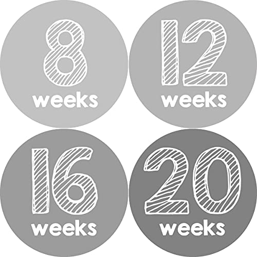 Weekly Pregnancy Growth Stickers Week Pregnant Expecting Photo Prop (Set of 12)
