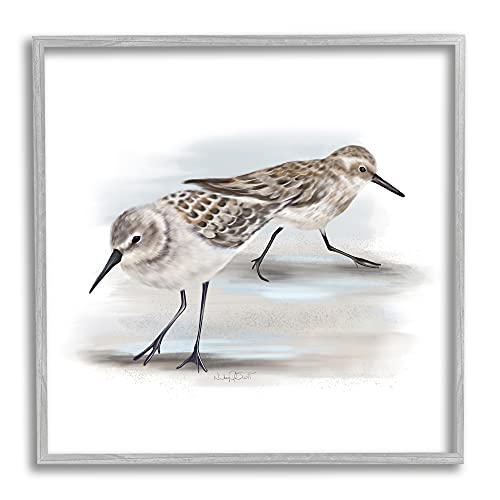 Stupell Industries Sandpiper Pair on Sandy Beach Small Nautical Birds, Designed by Studio Q Gray Framed Wall Art, 12 x 12, Grey