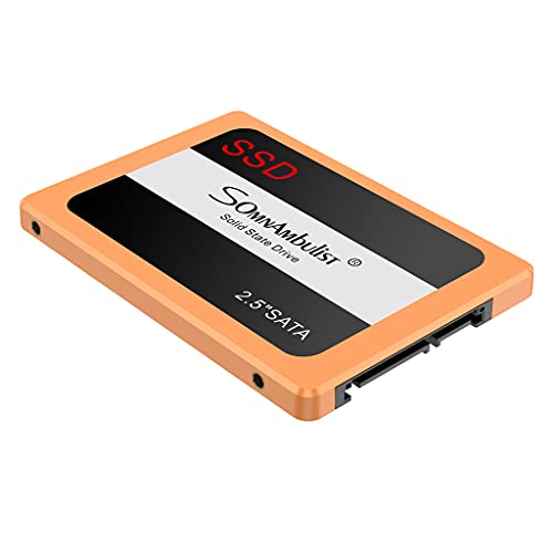 Somnambulist SSD Internal SSD60GBPGB Solid State Drive-2.5 inch SATA Speed up to 500MB/s (Orange-60gb)