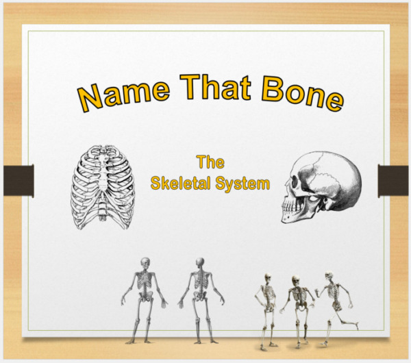 Skeletal System: Name That Bone