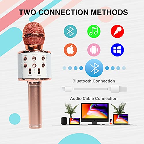 DREAM&GLAMOUR Karaoke Microphone for Kids,Bluetooth Wireless Microphone with LED Lights,Portable Handheld Karaoke Mic Speaker Machine for Girls Boys Adults(Rose Pink) | The Storepaperoomates Retail Market - Fast Affordable Shopping