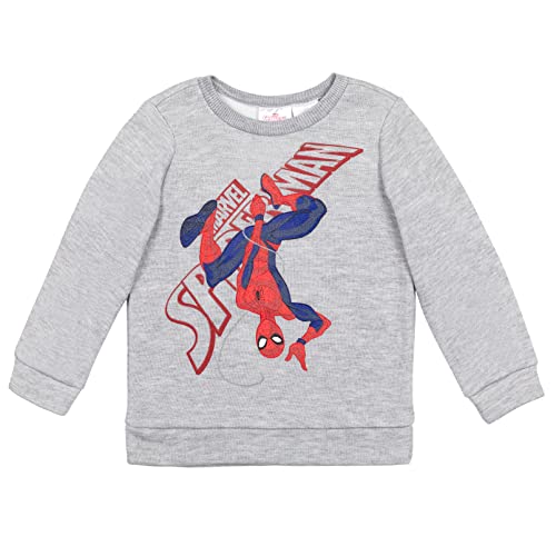 Marvel Spider-Man Little Boys Fleece Sweatshirt Heather Grey 5