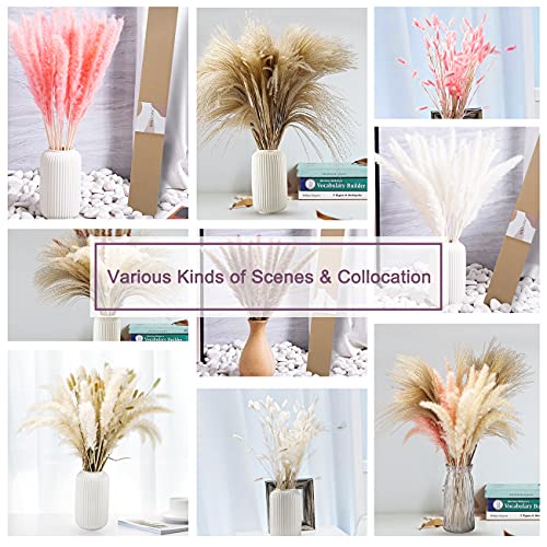 60Pcs Pampas Grass, 17.72” Dried White Pampas Grass 15 Pcs▕Brown Dried Flower 15 Pcs▕30 Pcs Natural Dried Reed, Natural Home Decor & Ideal for Flower Arrangements, Wedding Plants | The Storepaperoomates Retail Market - Fast Affordable Shopping